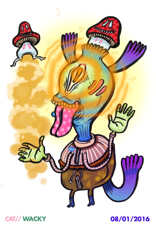 chapman_6_janvier_2017